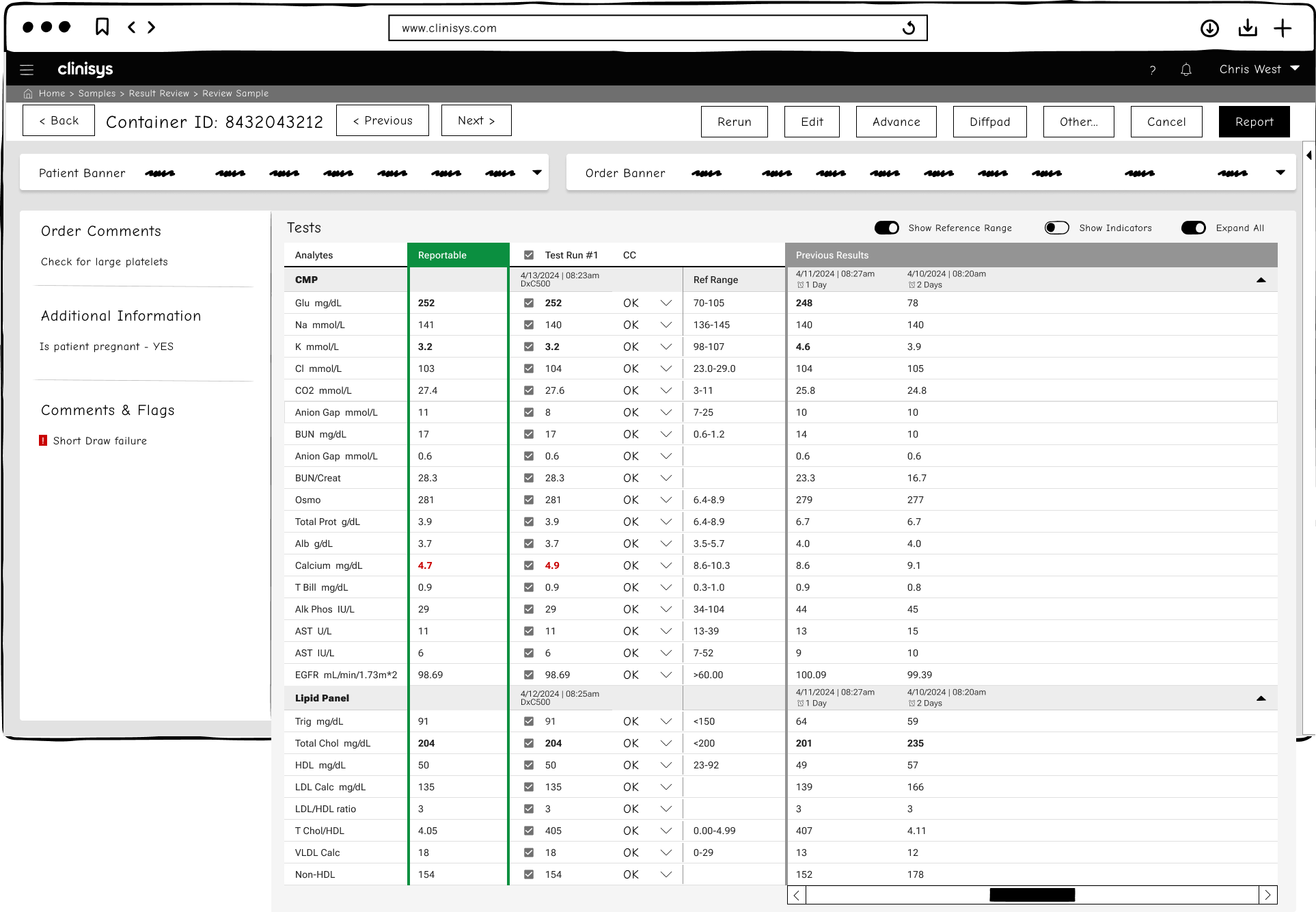 Early Review Sample wireframe showing a fixed left sidebar with Order Comments, Additional Information, and Comments and Flags panels, alongside a CMP and Lipid Panel results table with previous results for comparison